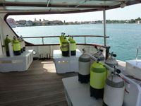 CHECK OUT OUR DIVING CRUISES