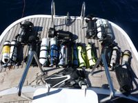 CHECK OUT OUR DIVING CRUISE